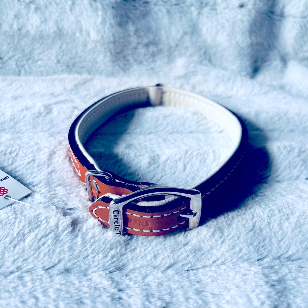 Coastal Leather dog collar 16”